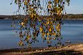 2018_10_13_lac des Settons (0046)